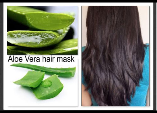Aloe Vera as a hair mask