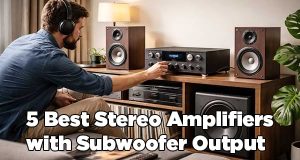 Best Stereo Amplifiers with Subwoofer Output