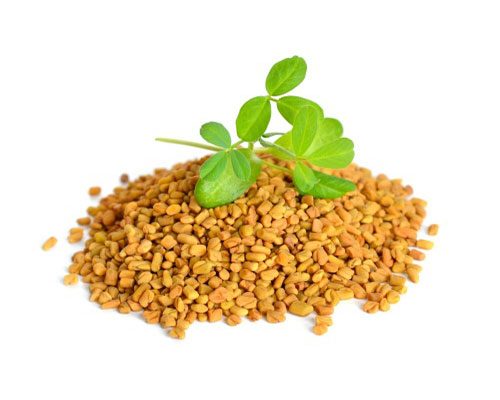 Fenugreek to improve hair damage
