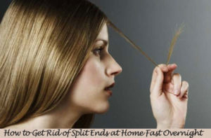 How to Get Rid of Split Ends at Home Fast Overnight