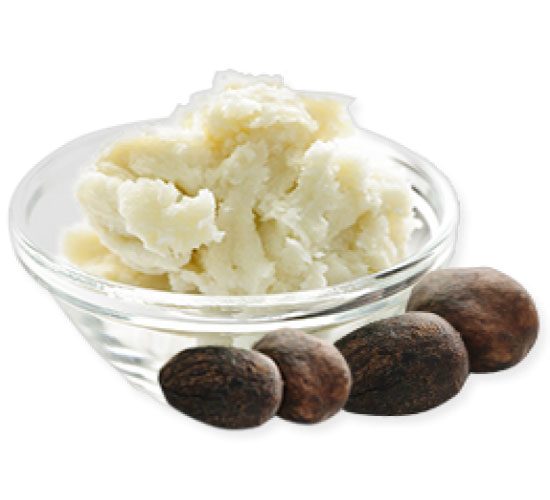 use Shea butter for Improving dameged hair
