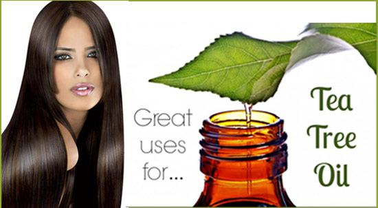 Tea tree Oil