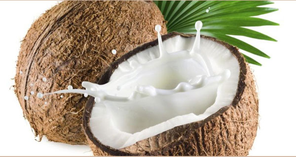 Use of Coconut Milk